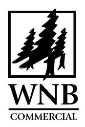 WNB COMMERCIAL