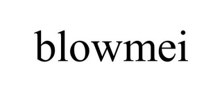 BLOWMEI
