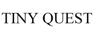 TINY QUEST