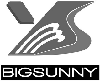 MSY BIGSUNNY