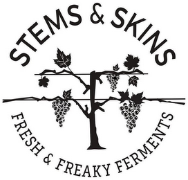 STEMS & SKINS FRESH & FREAKY FERMENTS