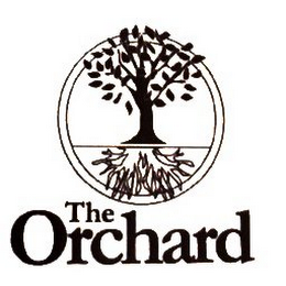 THE ORCHARD