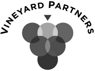 VINEYARD PARTNERS