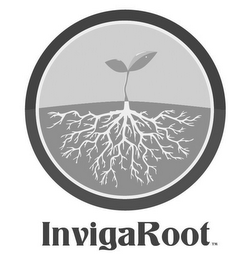 INVIGAROOT