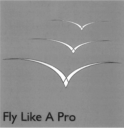 FLY LIKE A PRO