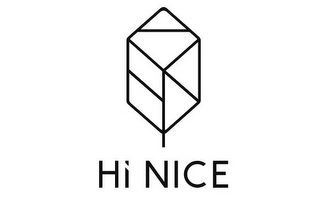 HI NICE