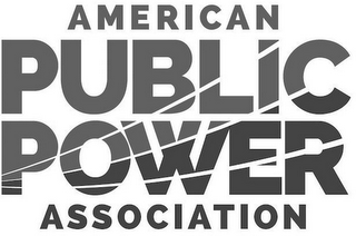 AMERICAN PUBLIC POWER ASSOCIATION