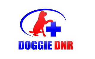 DOGGIE DNR