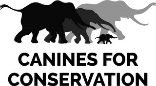 CANINES FOR CONSERVATION