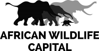 AFRICAN WILDLIFE CAPITAL