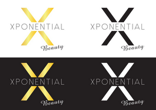 XPONENTIAL BEAUTY