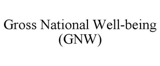 GROSS NATIONAL WELL-BEING (GNW)