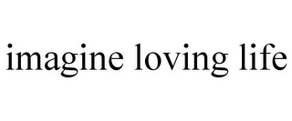 IMAGINE LOVING LIFE