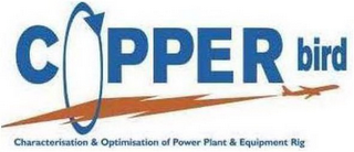 COPPER BIRD CHARACTERISATION & OPTIMISATION OF POWER PLANT & EQUIPMENT RIG