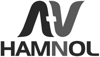 AV HAMNOL
