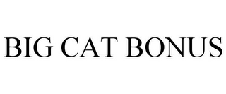 BIG CAT BONUS