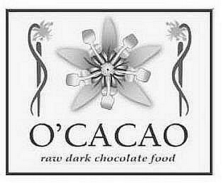 O'CACAO RAW DARK CHOCOLATE FOOD