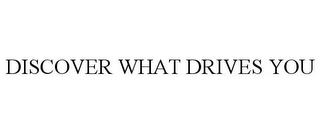 DISCOVER WHAT DRIVES YOU