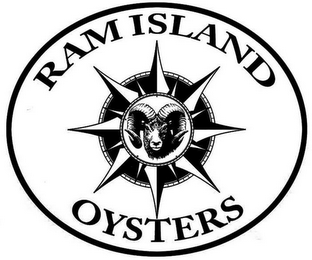 RAM ISLAND OYSTERS