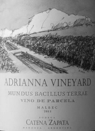 F. MAZA ADRIANNA VINEYARD MUNDUS BACILLUS TERRAE VINO DE PARCELA MALBEC 2011 BODEGA CATENA ZAPATA MENDOZA ARGENTINA