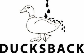 DUCKSBACK