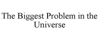 THE BIGGEST PROBLEM IN THE UNIVERSE