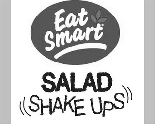 EAT SMART SALAD SHAKE UPS