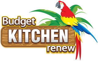 BUDGET KITCHEN RENEW