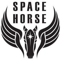 SPACE HORSE