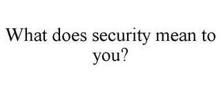 WHAT DOES SECURITY MEAN TO YOU?