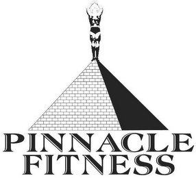 PINNACLE FITNESS