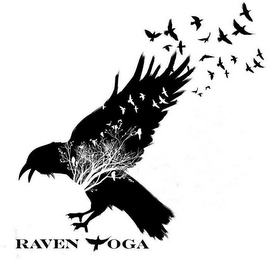 RAVEN YOGA