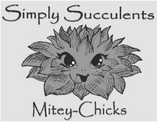 SIMPLY SUCCULENTS MITEY-CHICKS