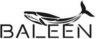 BALEEN