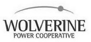 WOLVERINE POWER COOPERATIVE