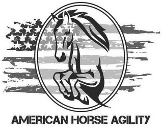 AMERICAN HORSE AGILITY