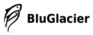 BLUGLACIER