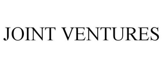 JOINT VENTURES