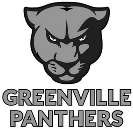 GREENVILLE PANTHERS