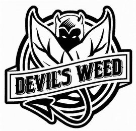 DEVIL'S WEED