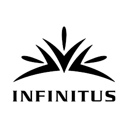 INFINITUS