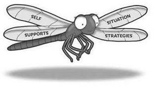 SELF SITUATION SUPPORTS STRATEGIES