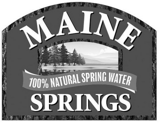 MAINE SPRINGS 100% NATURAL SPRING WATER