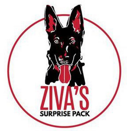 ZIVA'S SURPRISE PACK