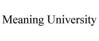 MEANING UNIVERSITY