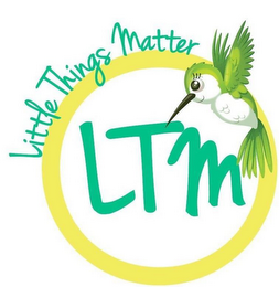 LITTLE THINGS MATTER LTM