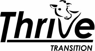 THRIVE TRANSITION