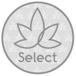 SELECT