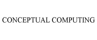 CONCEPTUAL COMPUTING