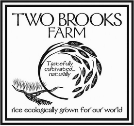 TWO BROOKS FARM TASTEFULLY CULTIVATED... NATURALLY RICE RIZ ARROZ RISO REIS BIGAS MI BERENJ ORYZA CHAWAL KOME PYZI OREZ ARICI RICE ECOLOGICALLY GROWN FOR OUR WORLD